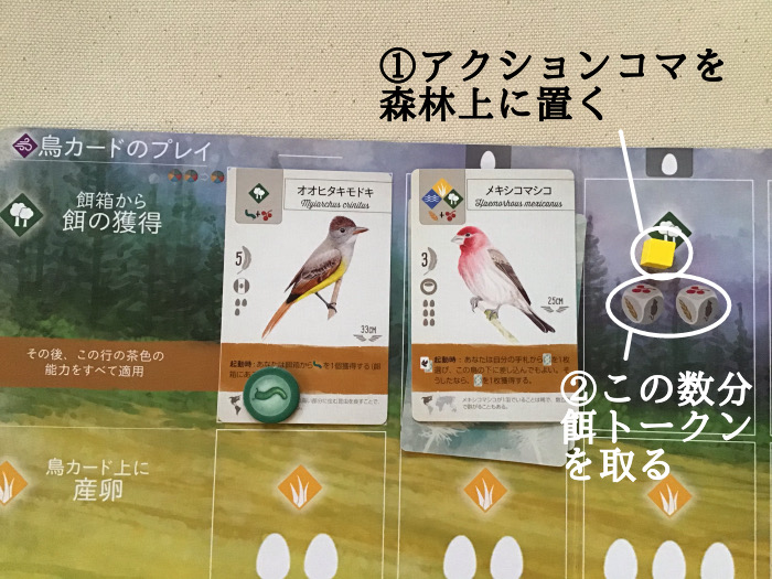 wingspan